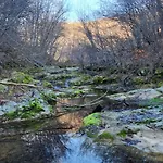 Little River Gabrovo