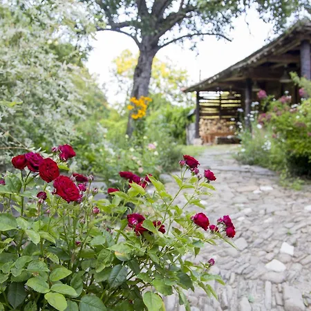 Bed & Breakfast Little River Gabrovo