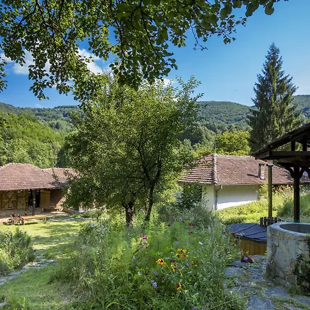 Little River לינה וארוחת בוקר 3*