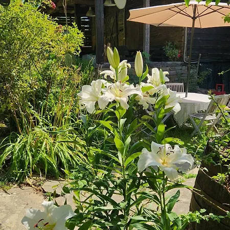 Little River 住宿加早餐酒店