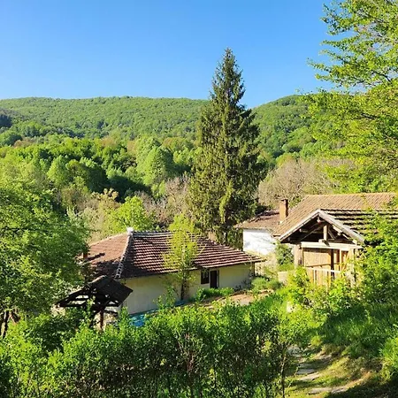 Little River Bed & Breakfast 3*