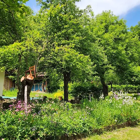 Bed & Breakfast Little River